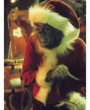 How the Grinch Stole Christmas Jim Carrey Coat