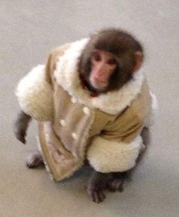 Ikea Monkey Shearling Jacket