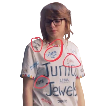 Taylor Swift You Belong with Me Junior Jewels Shirt